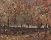 Vincent Van Gogh Lane with Poplars (nn04) Spain oil painting reproduction